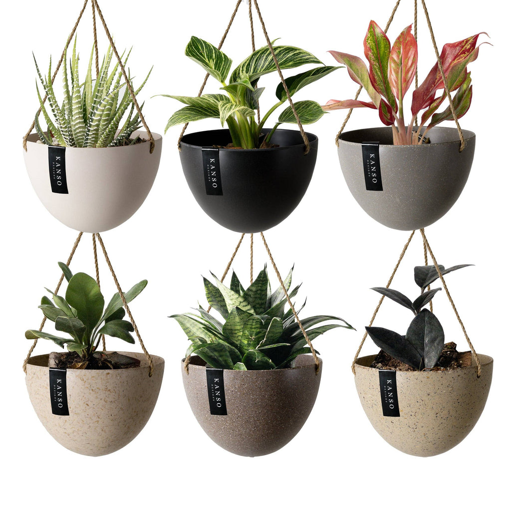 Bamboo Black - 8" Upcycled Hanging Planters