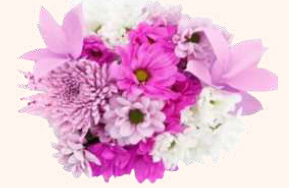 Budzi Valentine's Bouquet VDay Fest