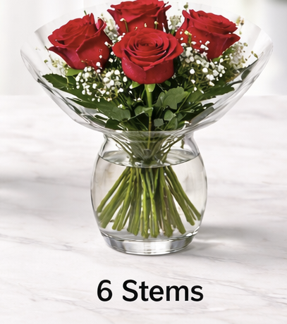6 Rose Arrangement - Valentines Day
