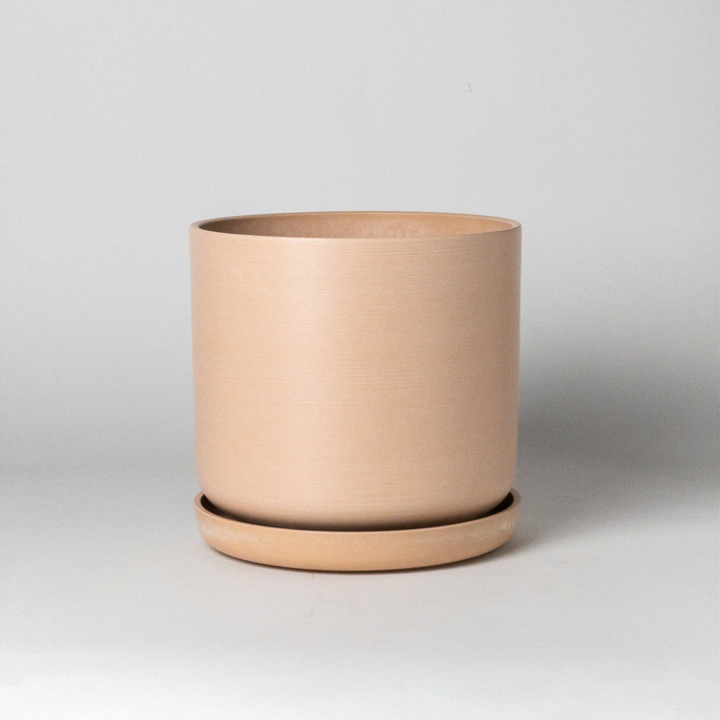 Beachwood- 9" Signature Stone Planter & Saucer