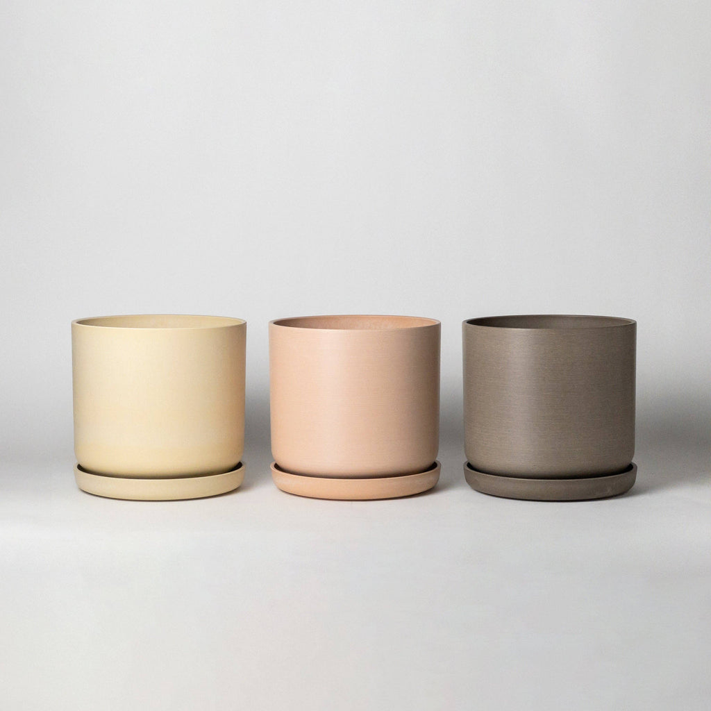 Beachwood- 9" Signature Stone Planter & Saucer